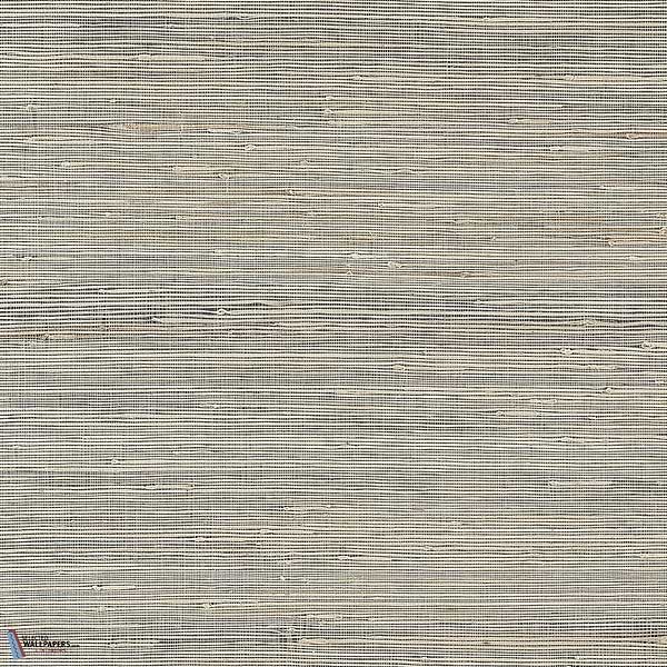 Sydney-Thibaut-Black-Rol-Selected-Wallpapers-Interiors