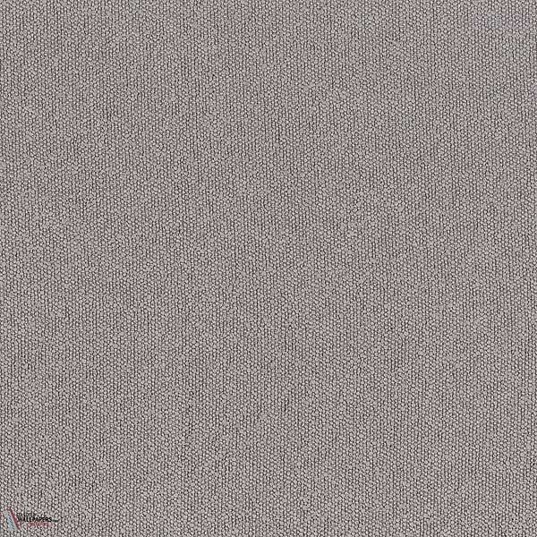 Gris Cendre