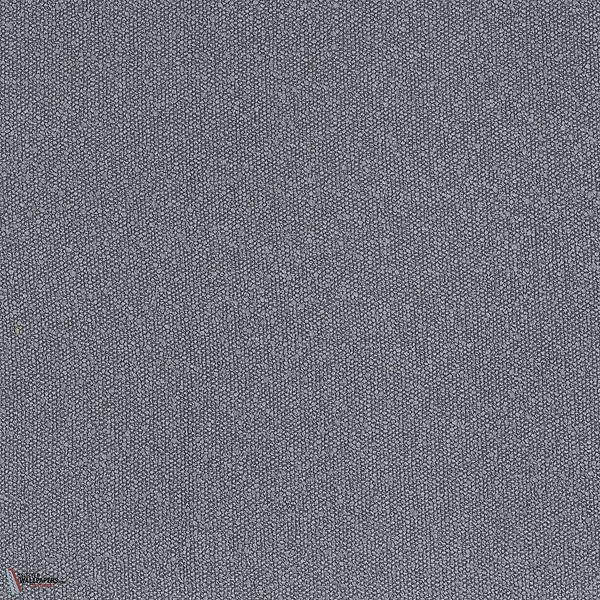 45940829