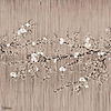 The Bliss behang-Daisy James-Beige-Vinyl-M2-Selected Wallpapers-Interiors
