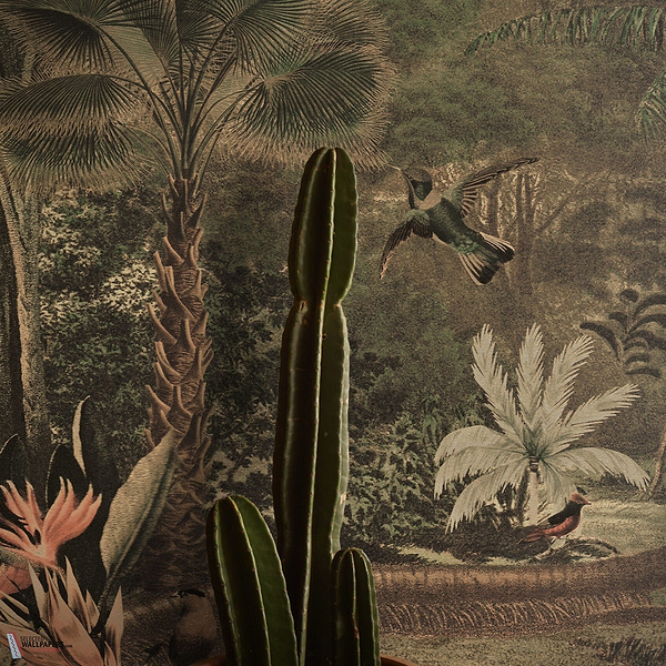 The Red Rock behang-behang-Daisy James-Multicolor-Vinyl-M2-Selected Wallpapers &amp; Interiors