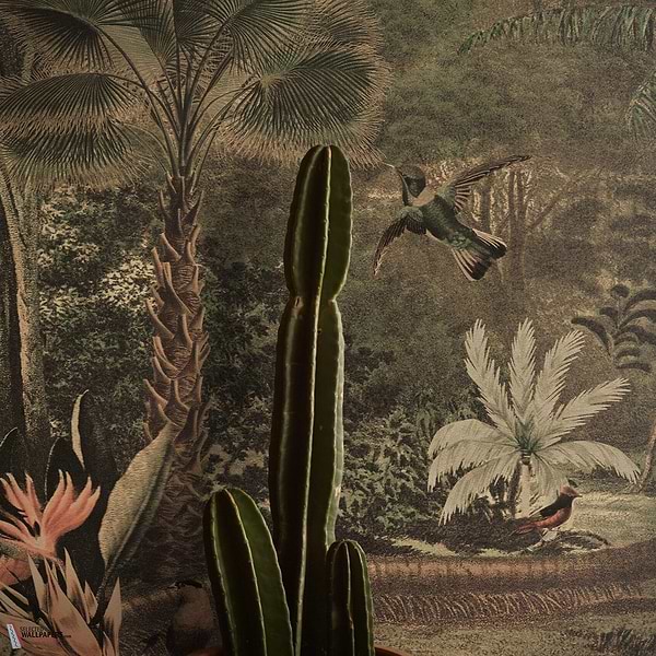 The Red Rock behang-behang-Daisy James-Multicolor-Vinyl-M2-Selected Wallpapers & Interiors