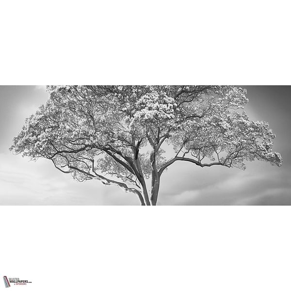 The Silent Witness behang-behang-LondonArt-Selected Wallpapers & Interiors