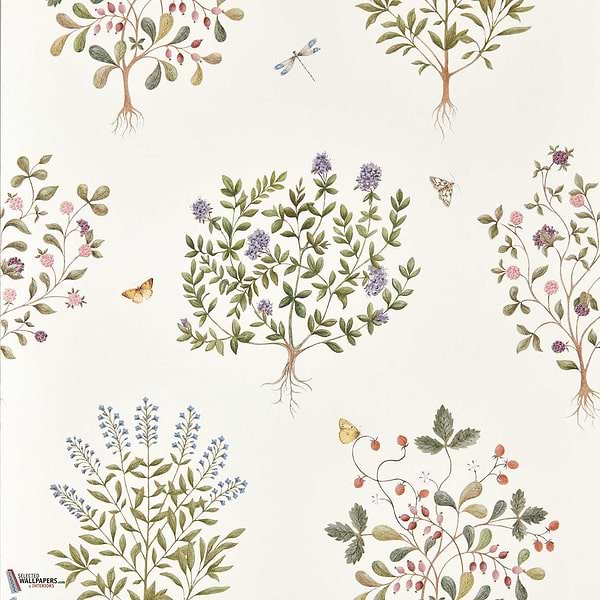 Thyme walk behang-Sanderson-Damson & Quince-Rol-Selected Wallpapers-Interiors