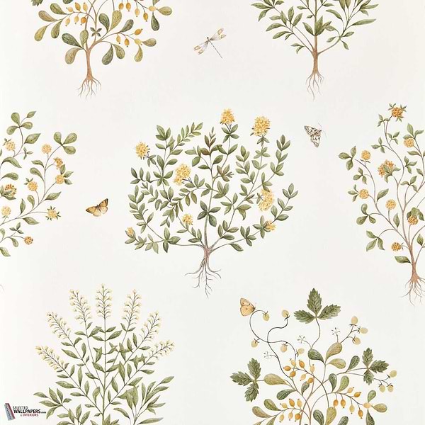 Thyme walk behang-Sanderson-Lichen & Gooseberry-Rol-Selected Wallpapers-Interiors