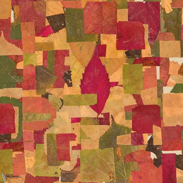 Tilia Vitales-Inkiostro Bianco-behang-tapete-wallpaper-Selected-Wallpapers-Interiors