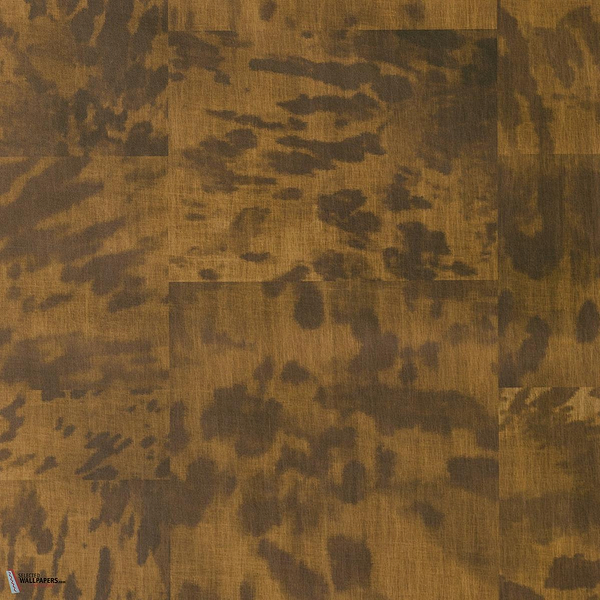 Tortuga wallpaper Nobilis