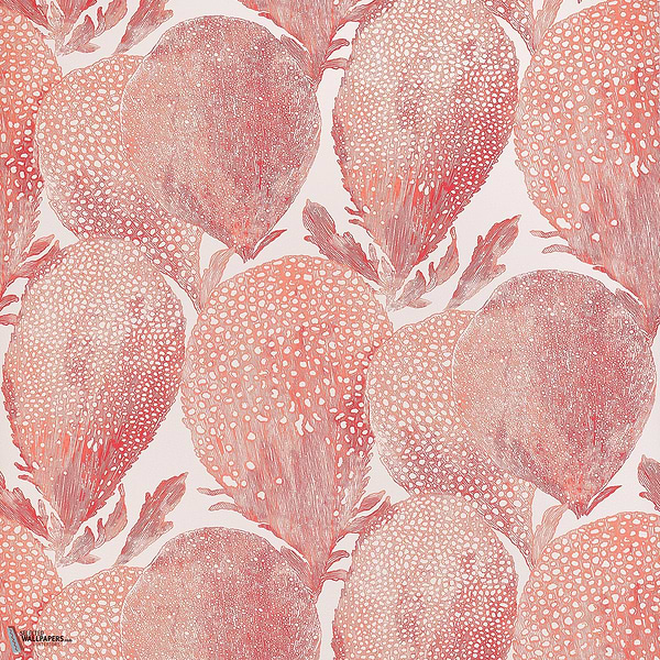 Under the sea behang-Thibaut-Coral-Rol-Selected Wallpapers-Interiors