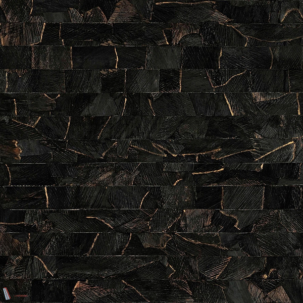 Vega ECP801 packshot