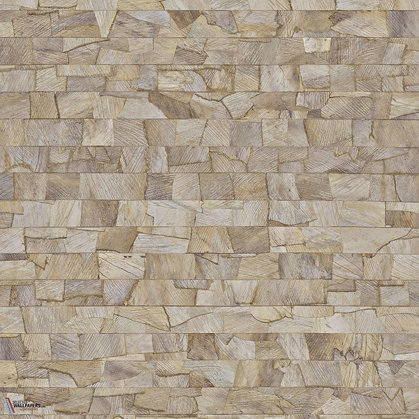 Vega ECP802 packshot