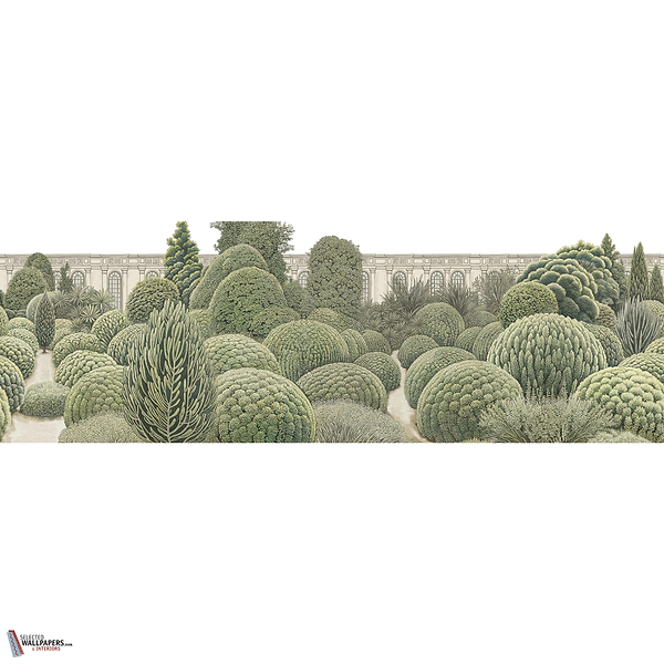 VILLA REALE GLXVI341 Combined Design