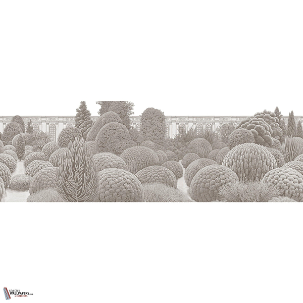 VILLA REALE GLXVI342 Combined Design