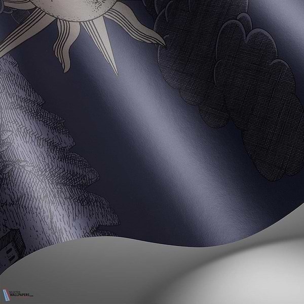 Vista Mediterranea-behang-Tapete-Cole & Son-Midnight Gilver Sun-Set-123/3013-Selected Wallpapers