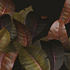 Zamia behang-Behang-Wall & Deco-01-d.ecodura Texture-M2-Selected Wallpapers &amp; Interiors