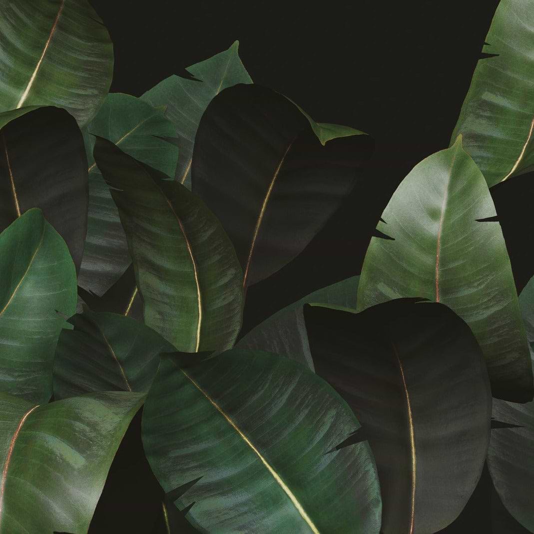 Zamia behang-Behang-Wall & Deco-02-d.ecodura Texture-M2-Selected Wallpapers &amp; Interiors