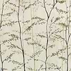 Woods-Behang-Tapete-Coordonne-Natural-Non Woven-7800995N-Selected Wallpapers