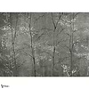 Woods Extra behang-Coordonne-Selected Wallpapers-Interiors
