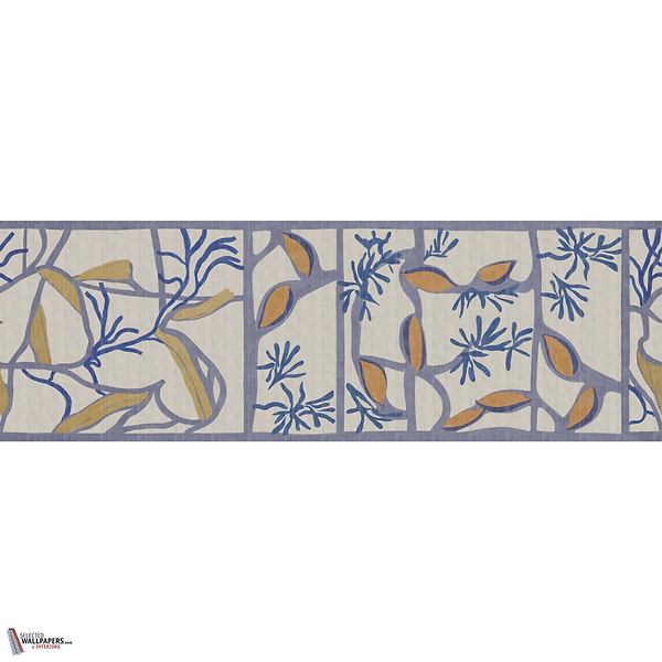 ZAMIA GLXVI311 Combined Design