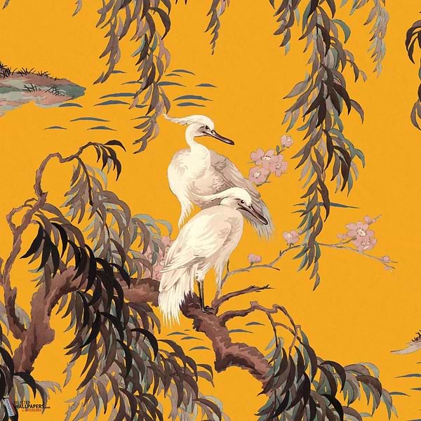 Zeus behang-House of Hackney-wallpaper-tapete-Ochre-200 cm-Selected-Wallpapers-Interiors