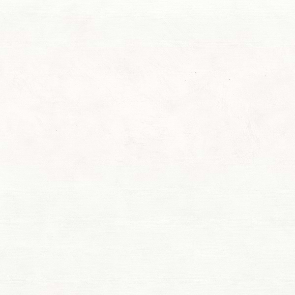 Argile Tapete - Blanc Optique