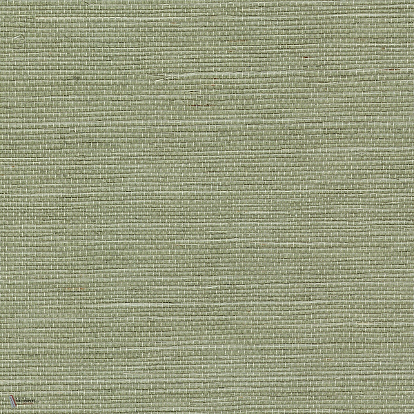 Sisal wallpaper in Amande by CMO Paris