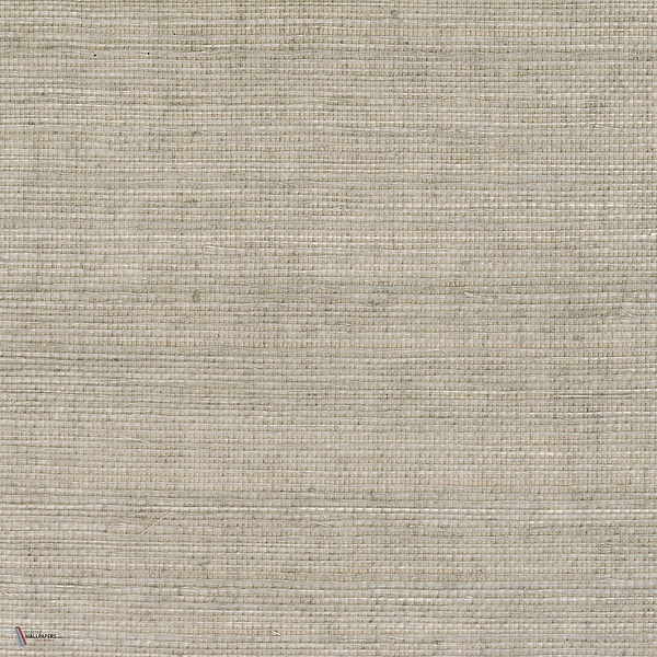 Sisal wallpaper in Beige by CMO Paris