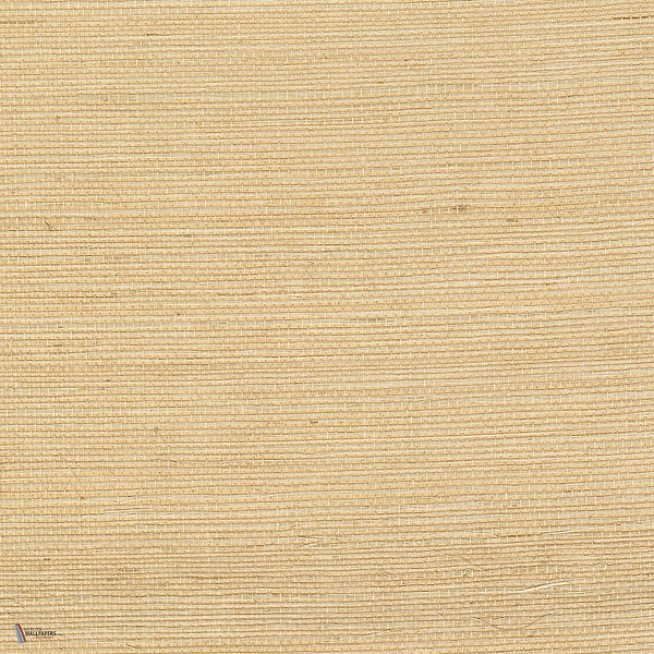 Sisal wallpaper in Blond by CMO Paris