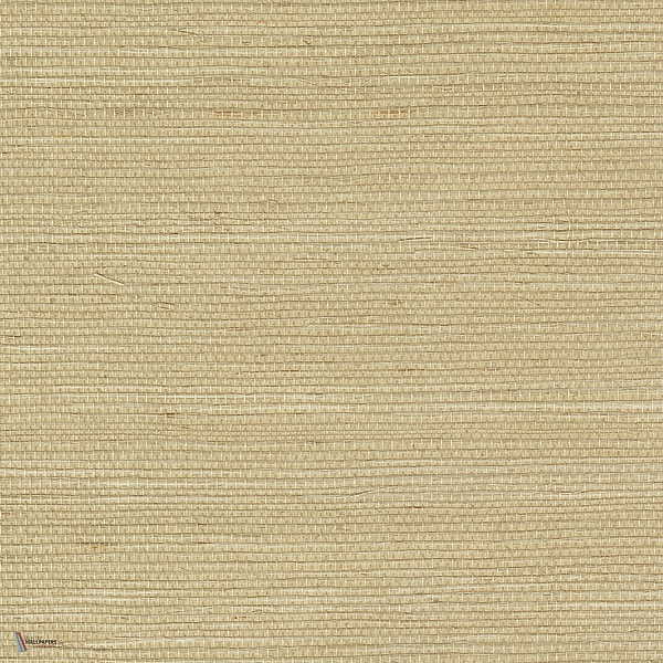Sisal wallpaper in Champagne by CMO Paris