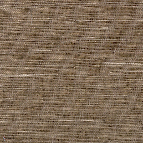 Sisal wallpaper in Sable by CMO Paris