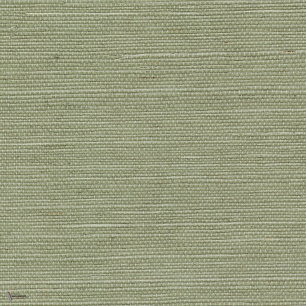 Sisal wallpaper in Sisal Acier by CMO Paris