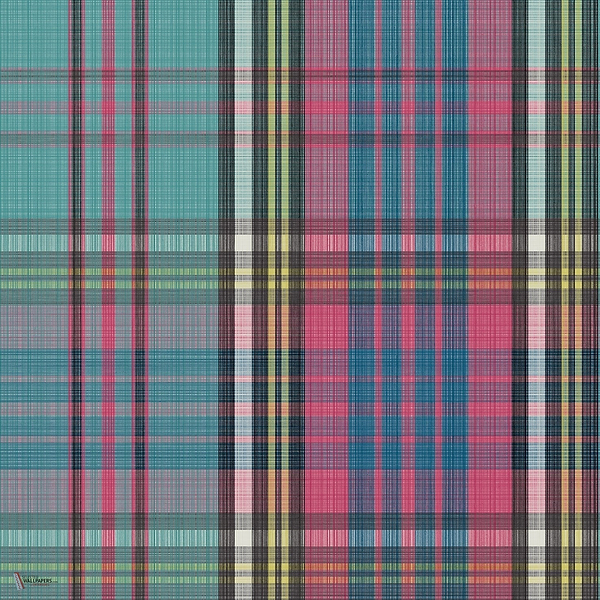 Macandreas Tartan behang in Cyan & Magenta van Cole & Son