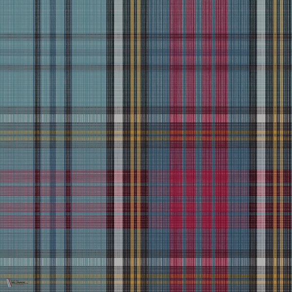 Macandreas Tartan behang in Petrol & Rouge van Cole & Son