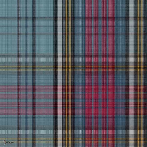 Macandreas Tartan behang in Petrol & Rouge van Cole & Son