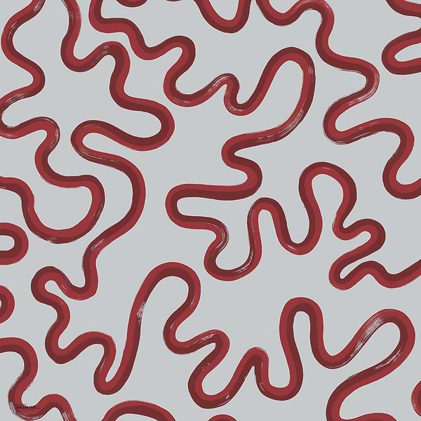 Rainforest Squiggle wallpaper in Rouge & Burgundy on Soft Blue by Cole & Son