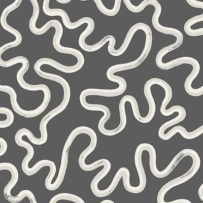 Rainforest Squiggle wallpaper in White & Grey on Charcoal by Cole & Son