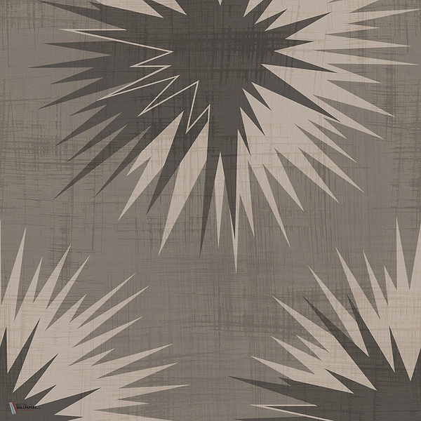 Soft Thistle wallpaper in Dove Grey & Charcoal by Cole & Son