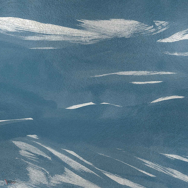 Marine XRay Metallics wallpaper in Silver by Coordonne