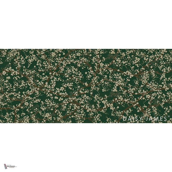 The Hana wallpaper in Green by Daisy James