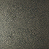 Emile Tapete in Jet van 1838 wallcoverings