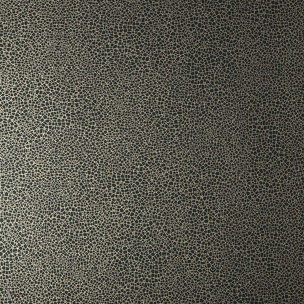 Emile Tapete in Jet van 1838 wallcoverings