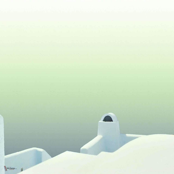 Formentor wallpaper in Green van Coordonne