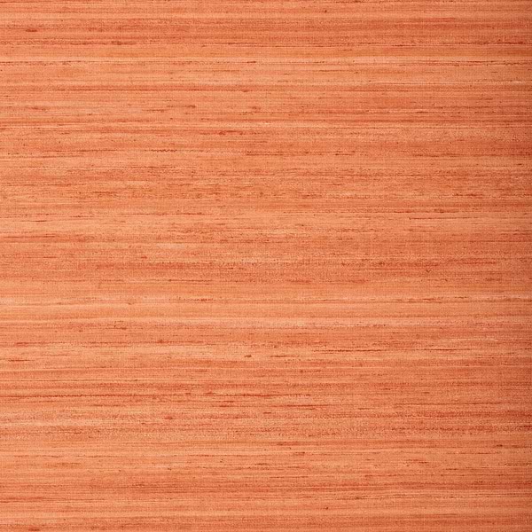 Wild Silk behang-Thibaut-Coral-Rol-Selected Wallpapers-Interiors