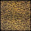 Tigre Velvet Stoff