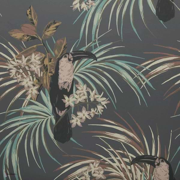 Le Toucan Tapete in Charcoal van 1838 wallcoverings