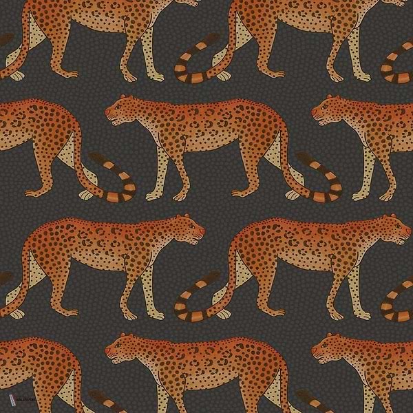 Leopard Walk wallpaper in Orange on Charcoal van Cole & Son
