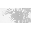 Palm Shadow behang-behang-Les Dominotiers-Selected Wallpapers & Interiors