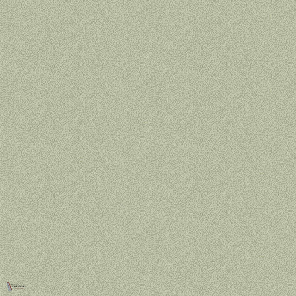 Pebble behang in Soft Olive van Cole & Son