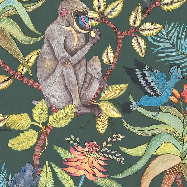 Savuti wallpaper in Multi on Dark Viridian van Cole & Son