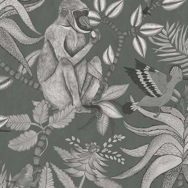 Savuti wallpaper in Soot on Charcoal van Cole & Son