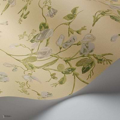 Sweet Pea behang van Cole & Son